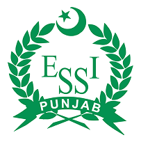logo11